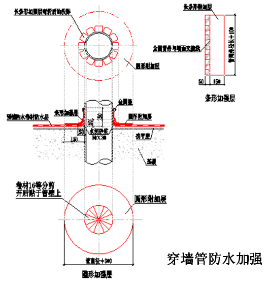 图片31