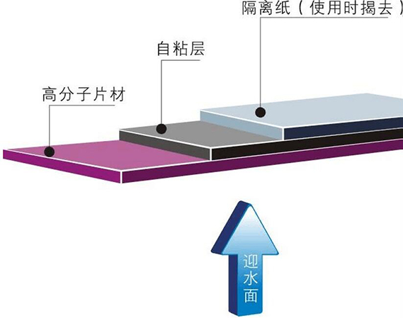 图片57